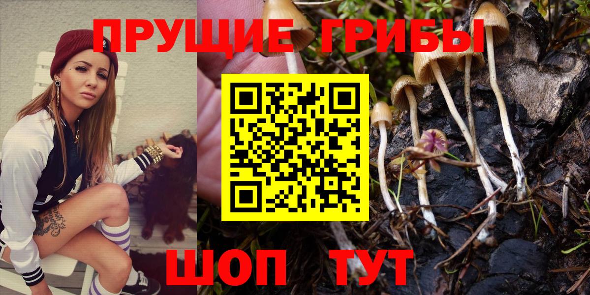 Галлюциногенные грибы мицелий Пыть-Ях